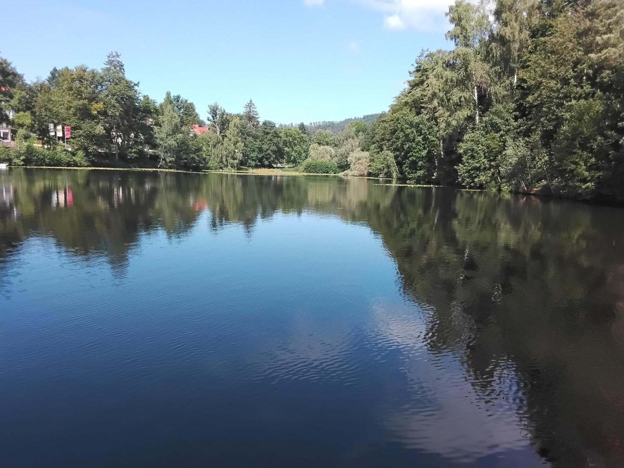 Hochwald Ensuite Бад Захса Екстериор снимка