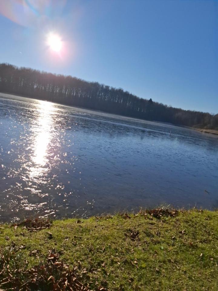 Hochwald Ensuite Бад Захса Екстериор снимка